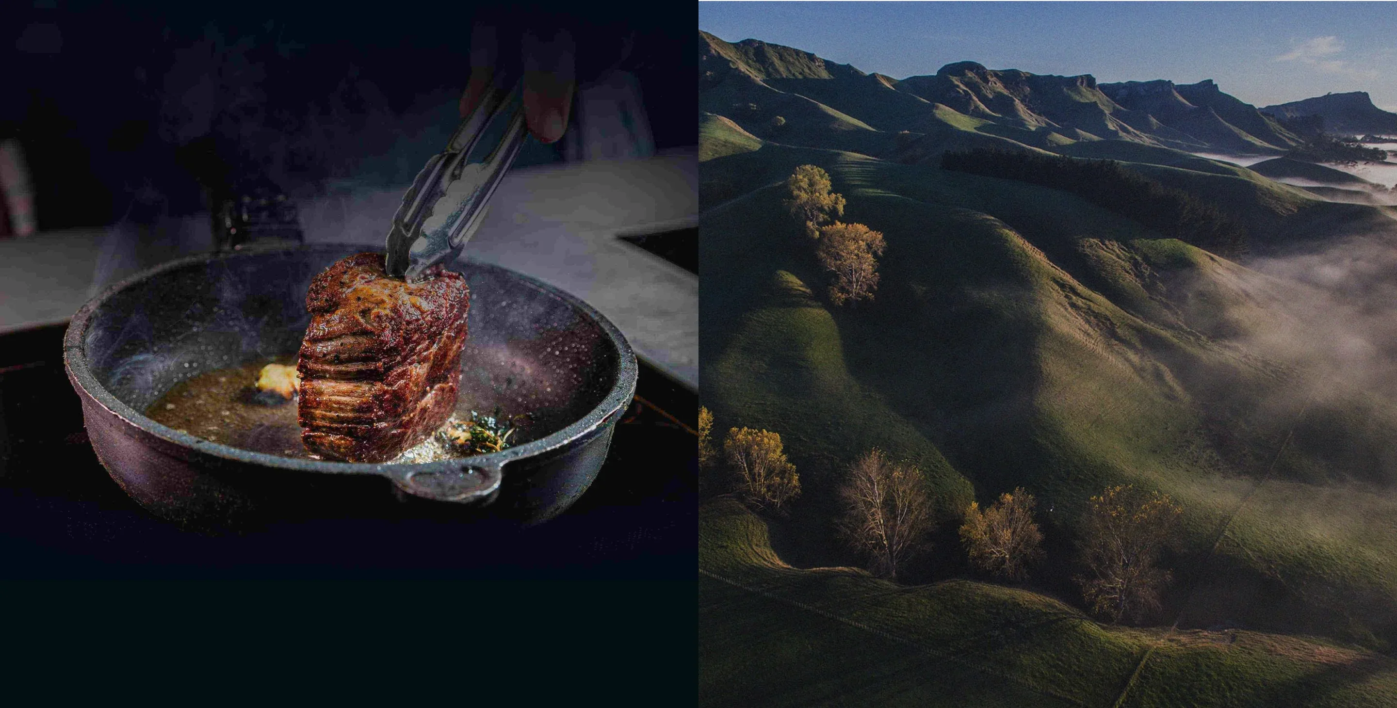 Pure New Zealand Angus Excellence